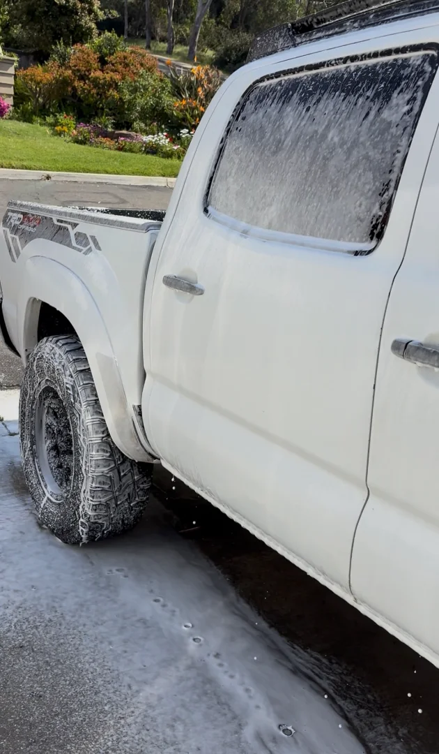 Professional car detailing