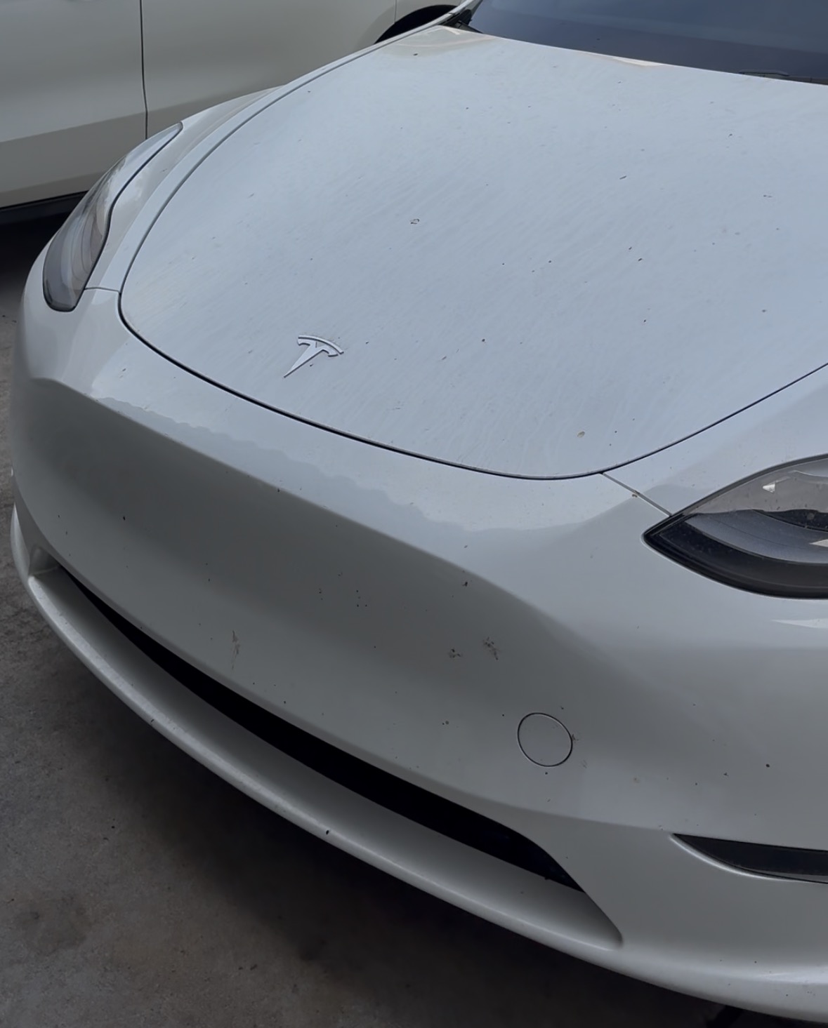 Tesla Model Y Full Detail — photo 3